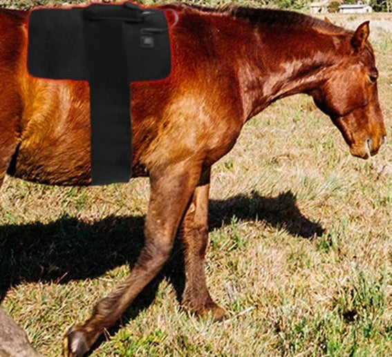 Horse Health Care products