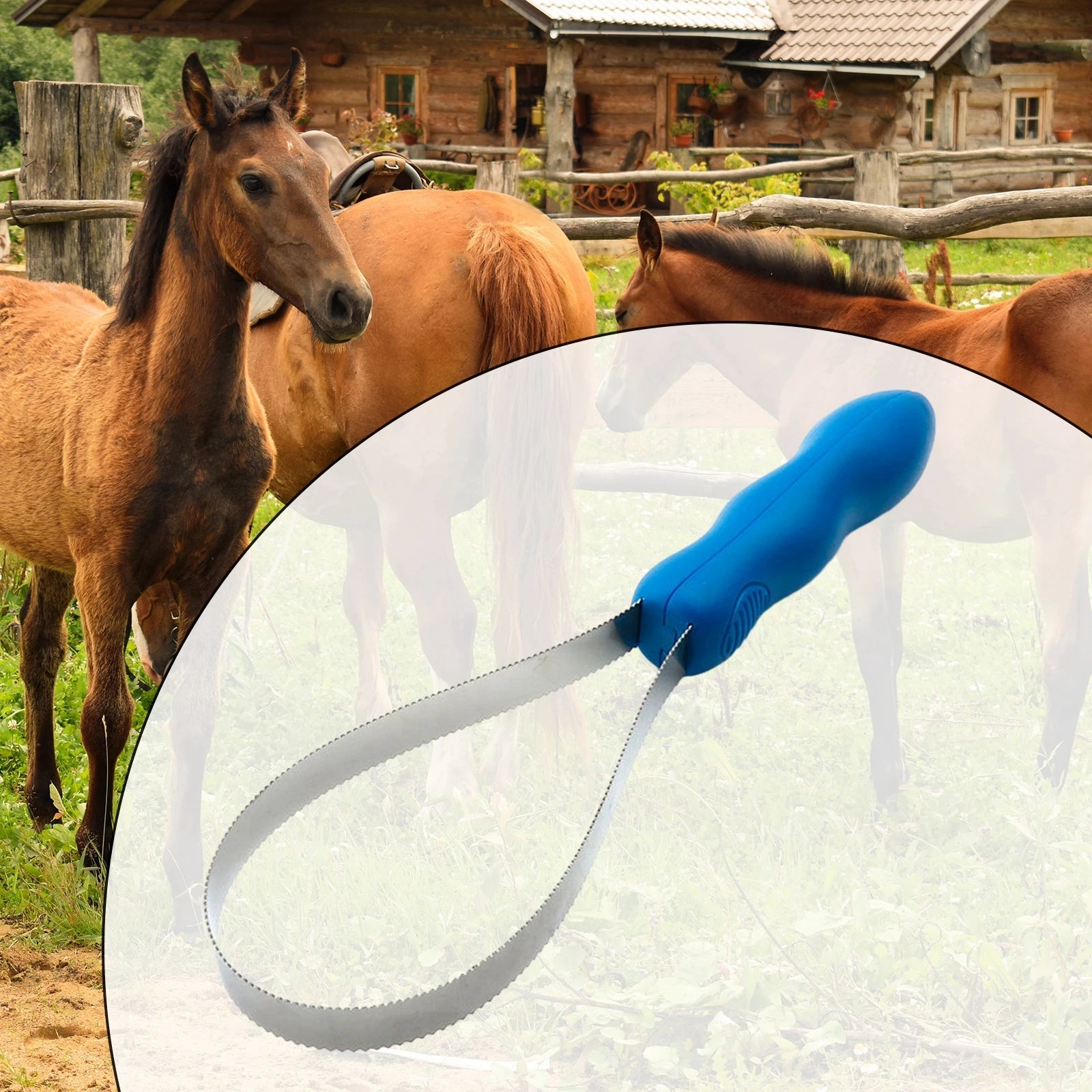 Horse Sweat Scraper Tool Shaving Shedding Blade Cattle Donkeys Clean Tool Knots Tangles for Donkeys Livestock Animal