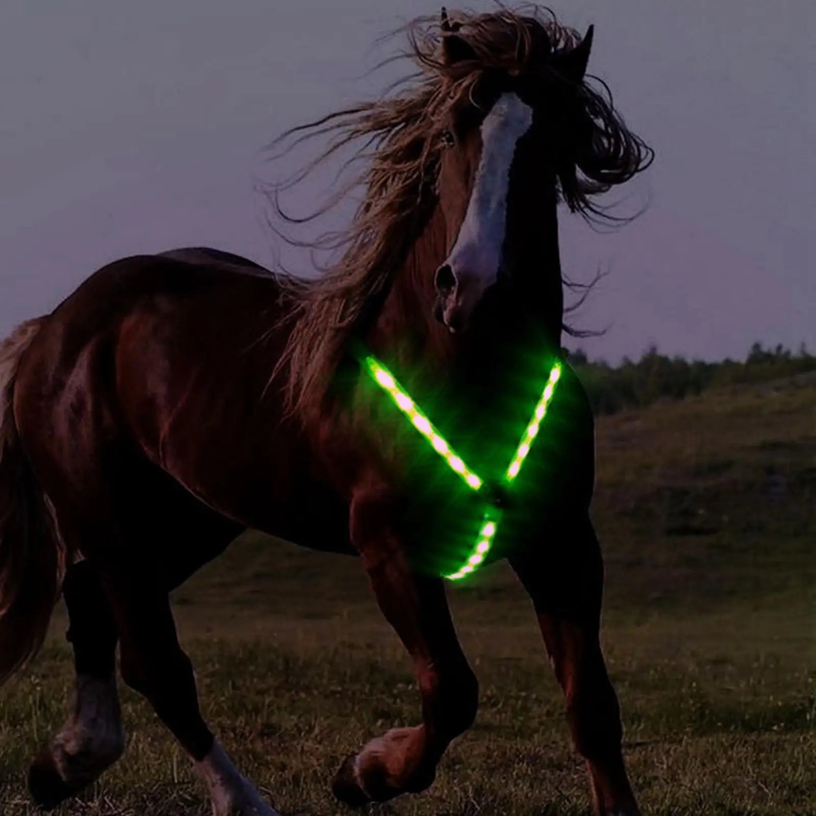 LED Horse Breastplate Collar Battery Operated Equestrian Safety Gear Protective Adjustable Webbing Chest Strap for Horse Show