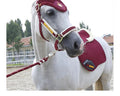 YurHorse ToughCover – Wear-Resistant Halter Protection Cover