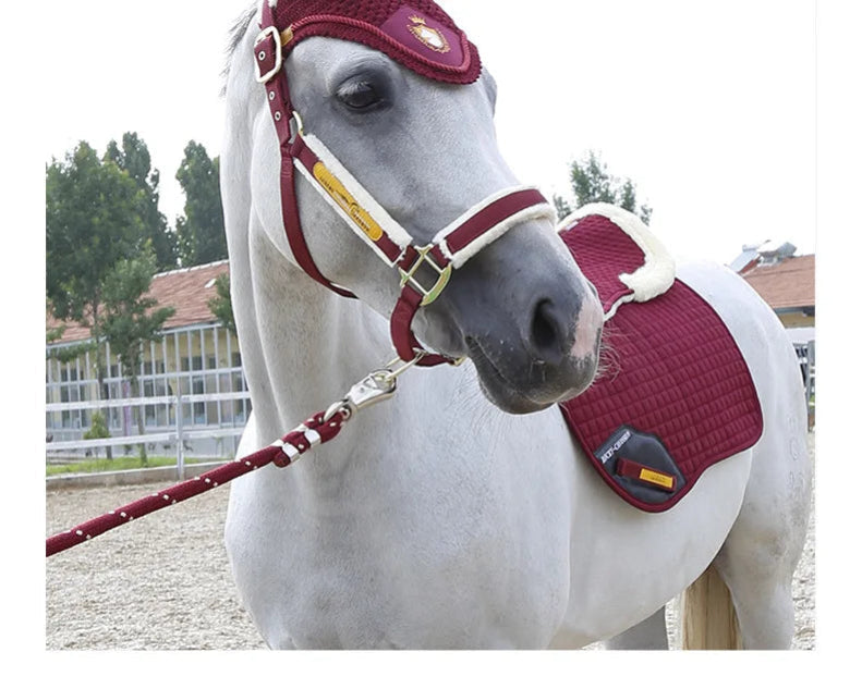 Wear Resistant Halter Horse Cage Cover Equestrian Equipment