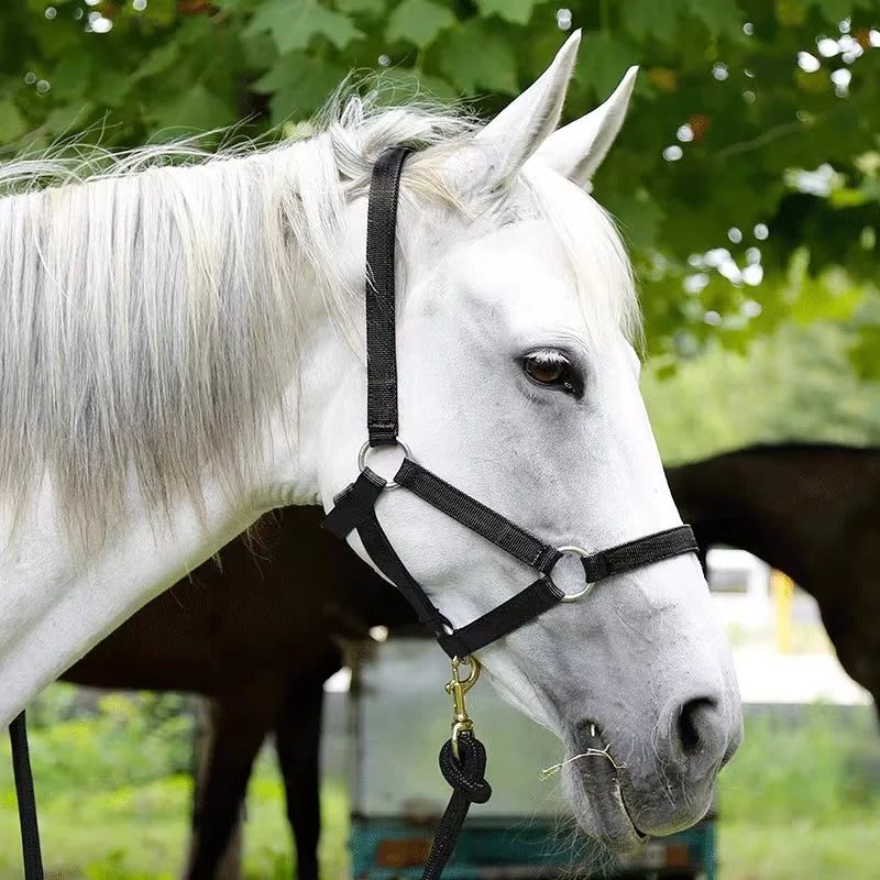 YurHorse SoftFit Halter – Wear-Resistant Horse Reins & Bridle