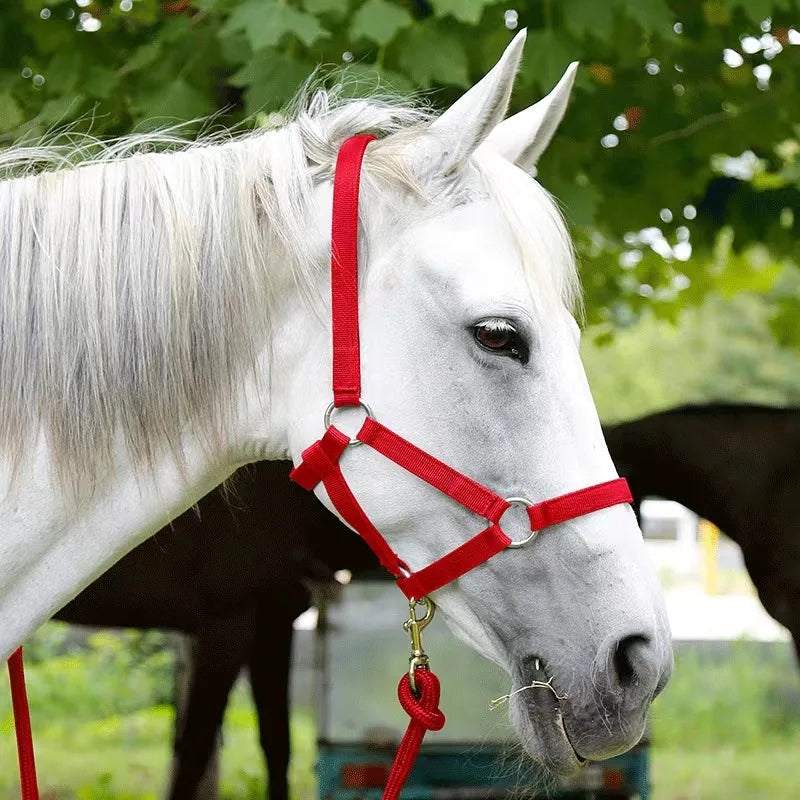 YurHorse SoftFit Halter – Wear-Resistant Horse Reins & Bridle