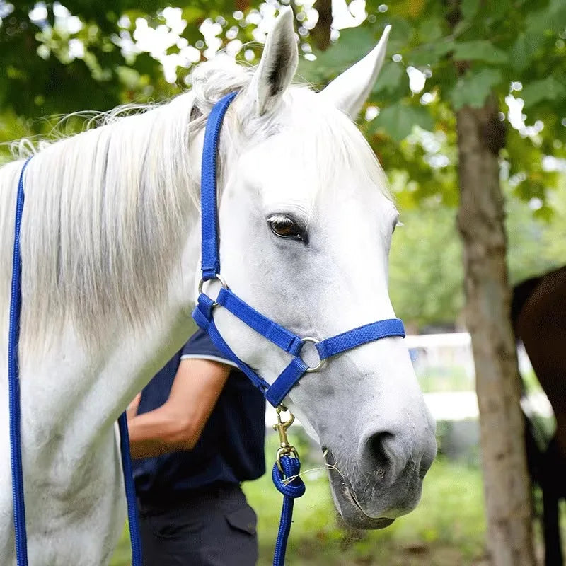 YurHorse SoftFit Halter – Wear-Resistant Horse Reins & Bridle