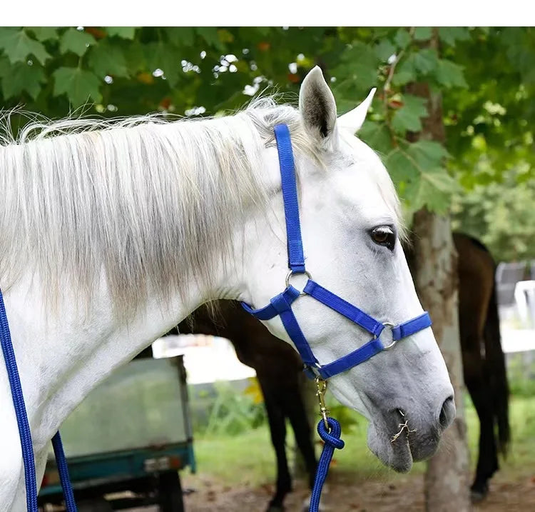 YurHorse SoftFit Halter – Wear-Resistant Horse Reins & Bridle